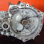 55251715 / C63663504